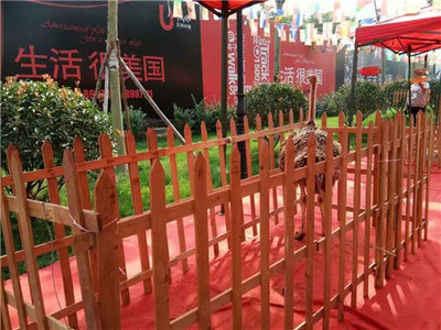 侯马马戏团表演海狮出租租赁