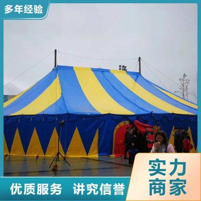 马戏团/羊驼海狮表演出租2025专业的团队