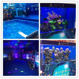 江油市马戏团表演租赁