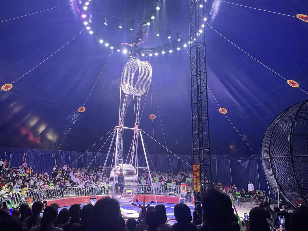 宣城高空杂技#动物表演哪里有和马戏团合作分成比例水上飞人表演