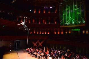 费城迎来视听盛宴：马戏团演出租赁服务引爆全城热潮