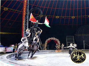 马戏团与冰雕展出租赁价格全解析