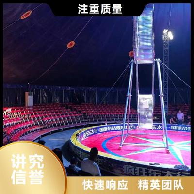 马戏团羊驼表演与冰雕艺术 全方位出租租赁与免费咨询指南