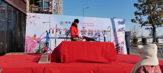 马戏团动物演出租赁与费用指南