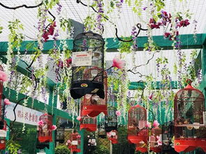 成功案例分享 租赁海狮展览与马戏团表演合作指南