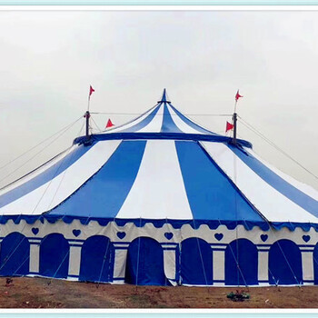 马戏团表演出租价格解析 大型演出租赁成本全揭秘