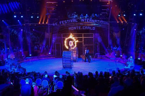 福州专业马戏团租赁服务与大型展览演出公司