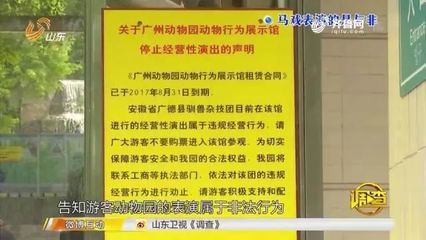 马戏团老虎伤人事件引发行业存废争议