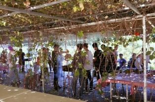 北京库房租赁与马戏团表演合作 一站式资源指南