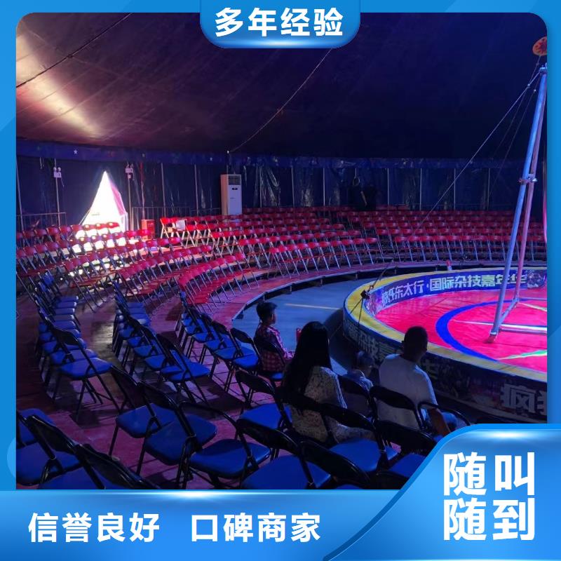 马戏团羊驼动物表演出租解决方案 创新合作模式助力商业活动