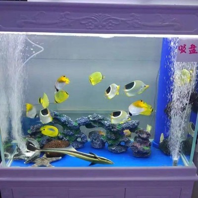 济源2022鱼缸展与马戏团表演合作——全新更新，欢迎您的参与