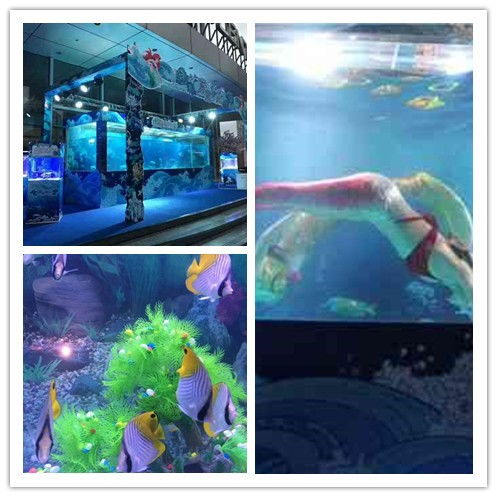 七台河市美人鱼表演与马戏团租赁服务指南