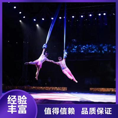 马戏团羊驼海狮表演与冰雕展出租赁 高性价比的优质选择