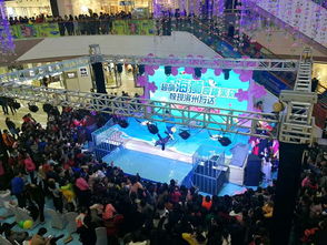 吉林辽源市羊驼海狮马戏团租赁与表演合作指南