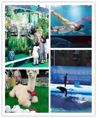 湖南省醴陵市 出租马戏团表演与本地合作的新机遇